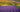A bright purple lavender field with a farm in the background.