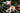 Light spring tea scene with floral and fruit teas, soft natural sunlight, and fresh ingredients like strawberries and herbs, creating a bright and refreshing seasonal atmosphere