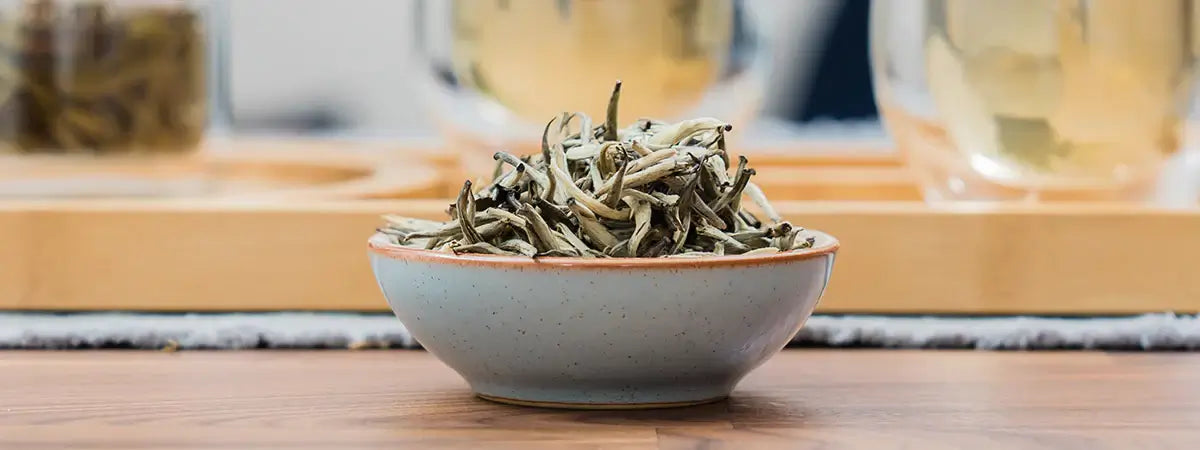 Unveiling the Elegance of White Tea: A Journey into its Delicate World