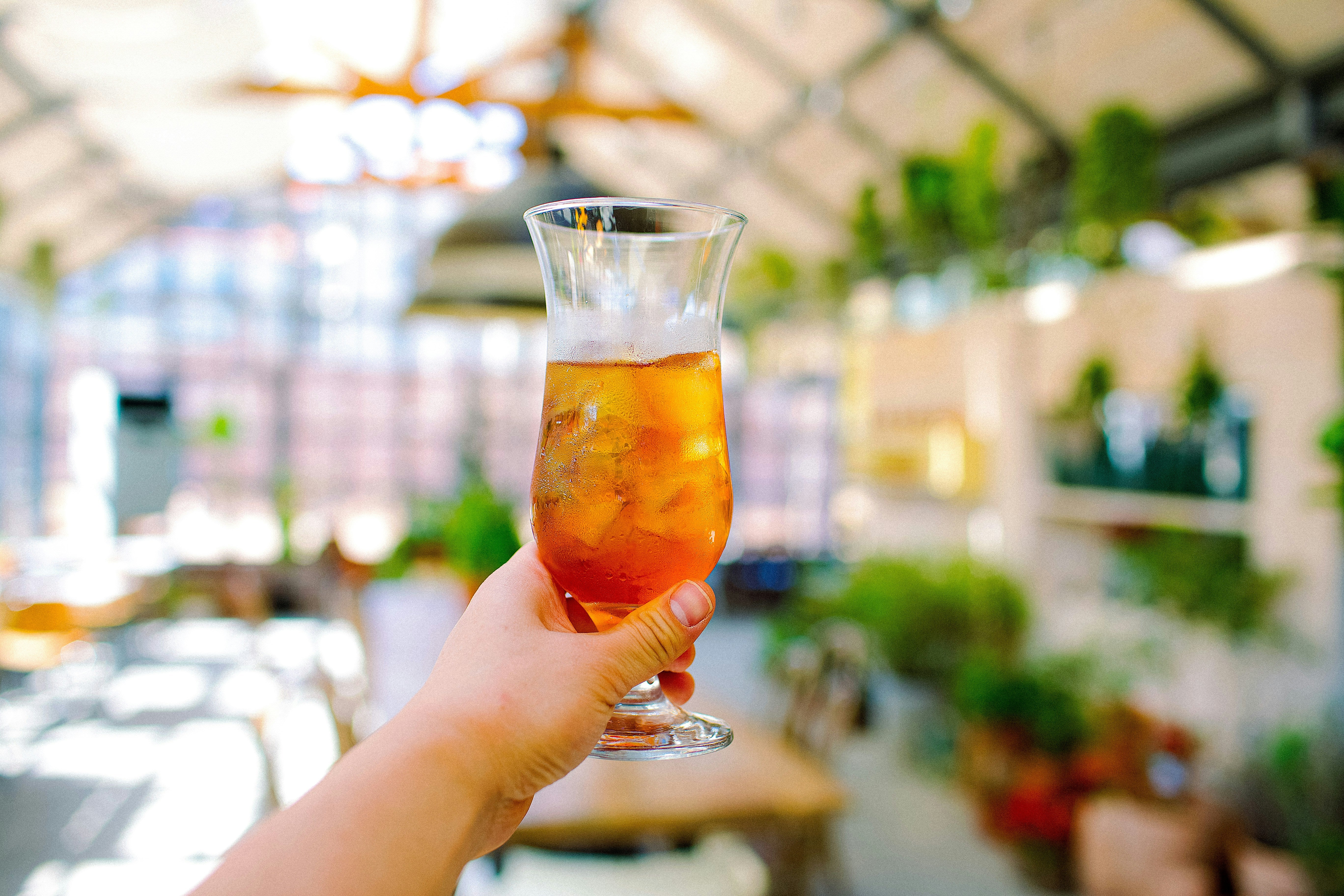 Best Iced Teas for Warmer Weather