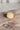 An Earl Grey shortbread cookie resting on a rustic wooden surface with a blurred gray background.