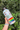 Person holding a water bottle with various stickers against a green leafy background